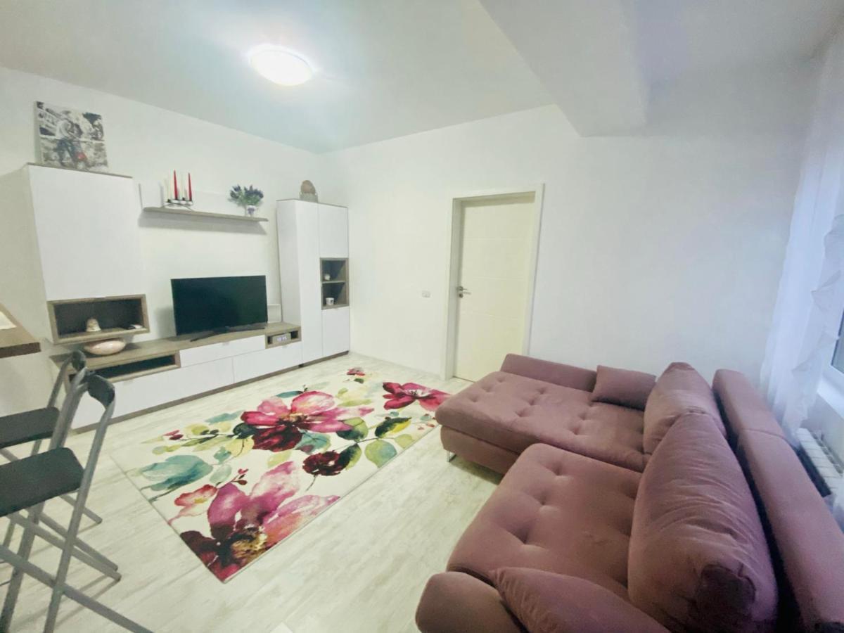Appartement Bubu's Timişoara